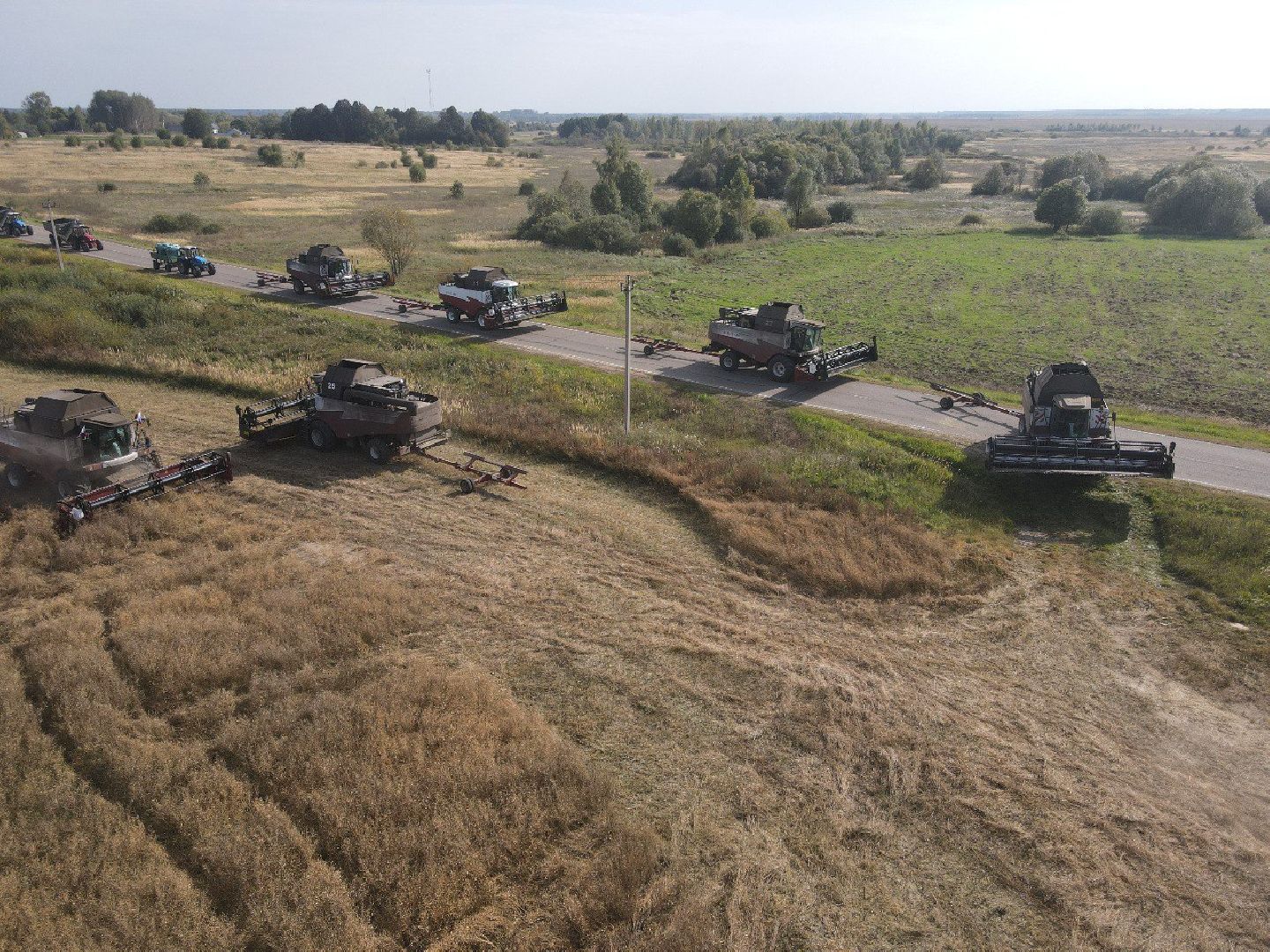 лотошино, сельское хозяйство, урожай 2024, рапс,