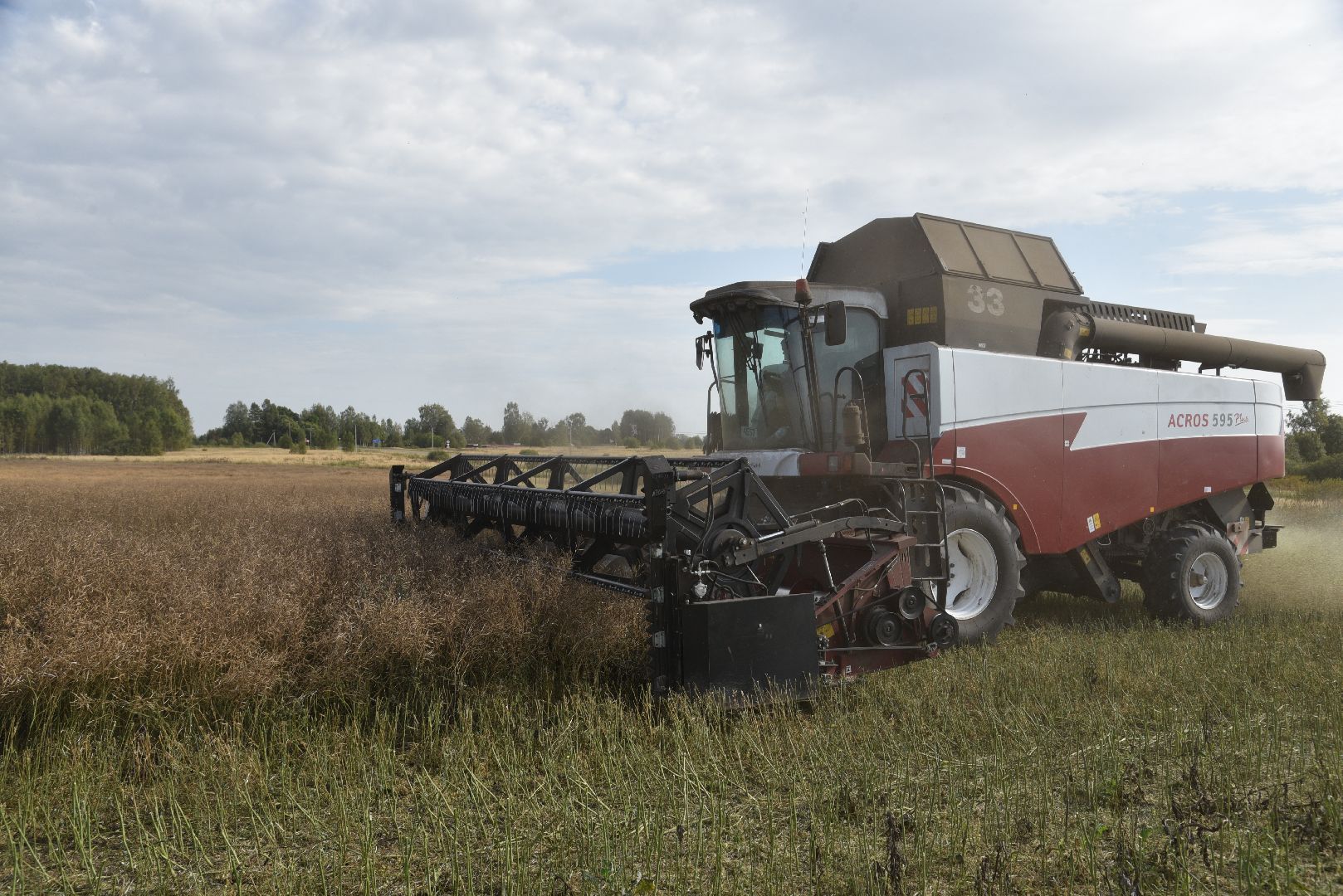 лотошино, сельское хозяйство, урожай 2024, рапс,