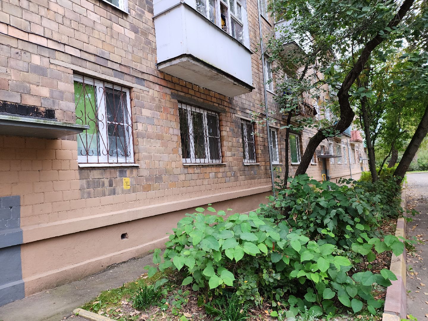 жители, общество, электроугли, выездная администрация, глава богородского округа, протечка крыши, управляющая компания, власть,