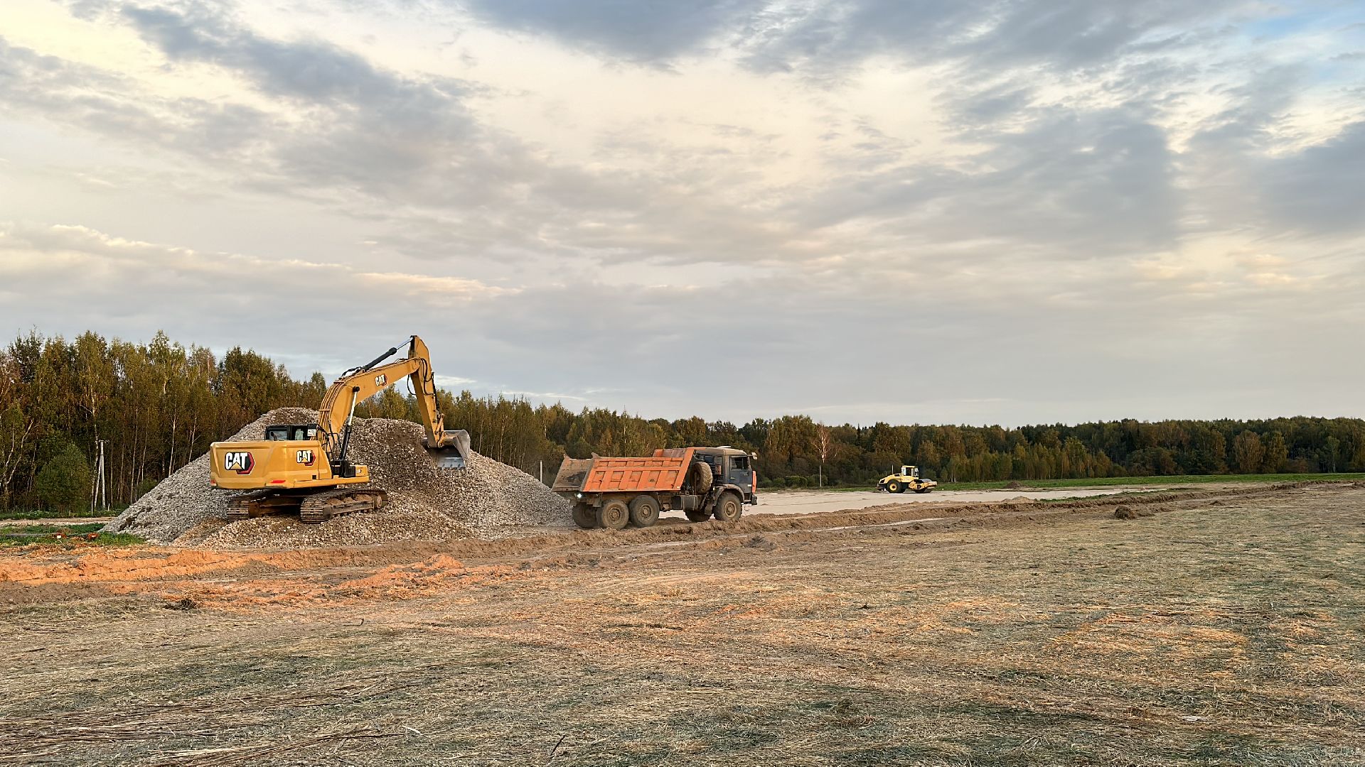 Клин, общество, экономика, сельское хозяйство, коровы,