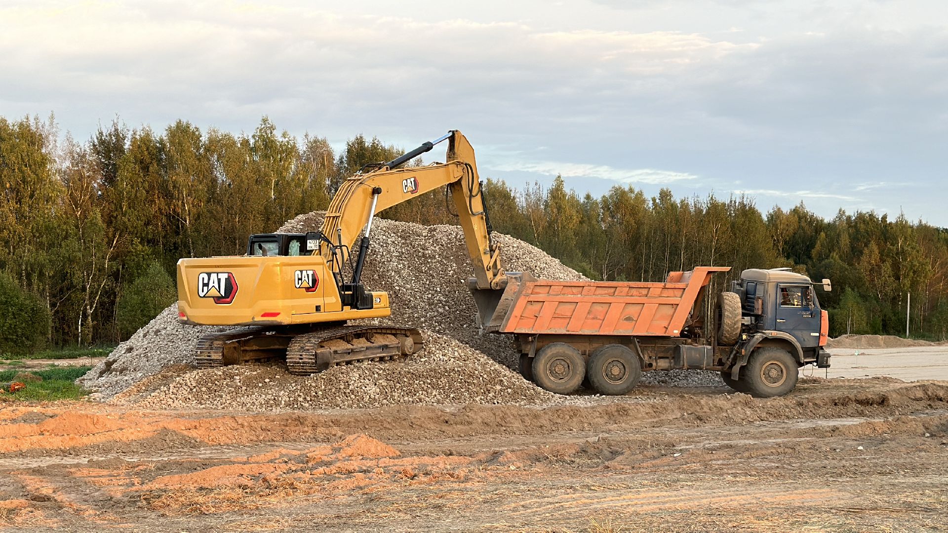 Клин, общество, экономика, сельское хозяйство, коровы,