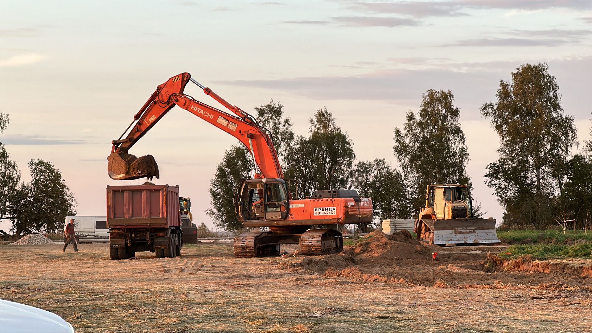 Клин, общество, экономика, сельское хозяйство, коровы,