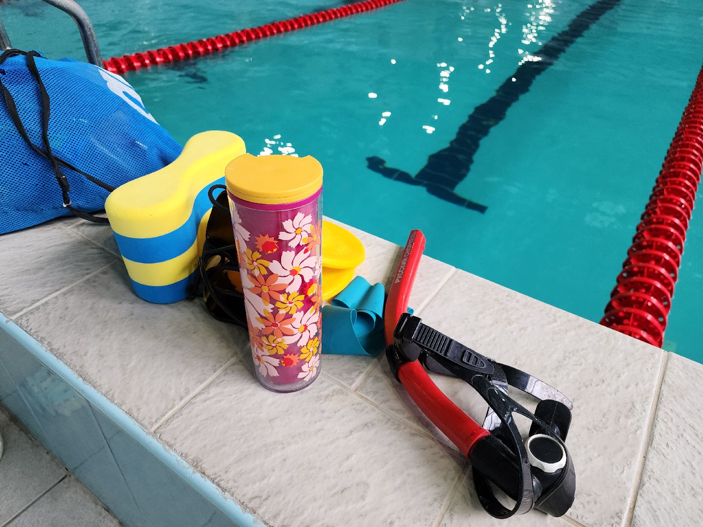 чемпионка из ленинского округа, пловчиха виктория таранникова, оздоровительный центр дельфин развилка, спартакиада учащихся россии, плавание спартакиада пенза, 4 медали таранникова,