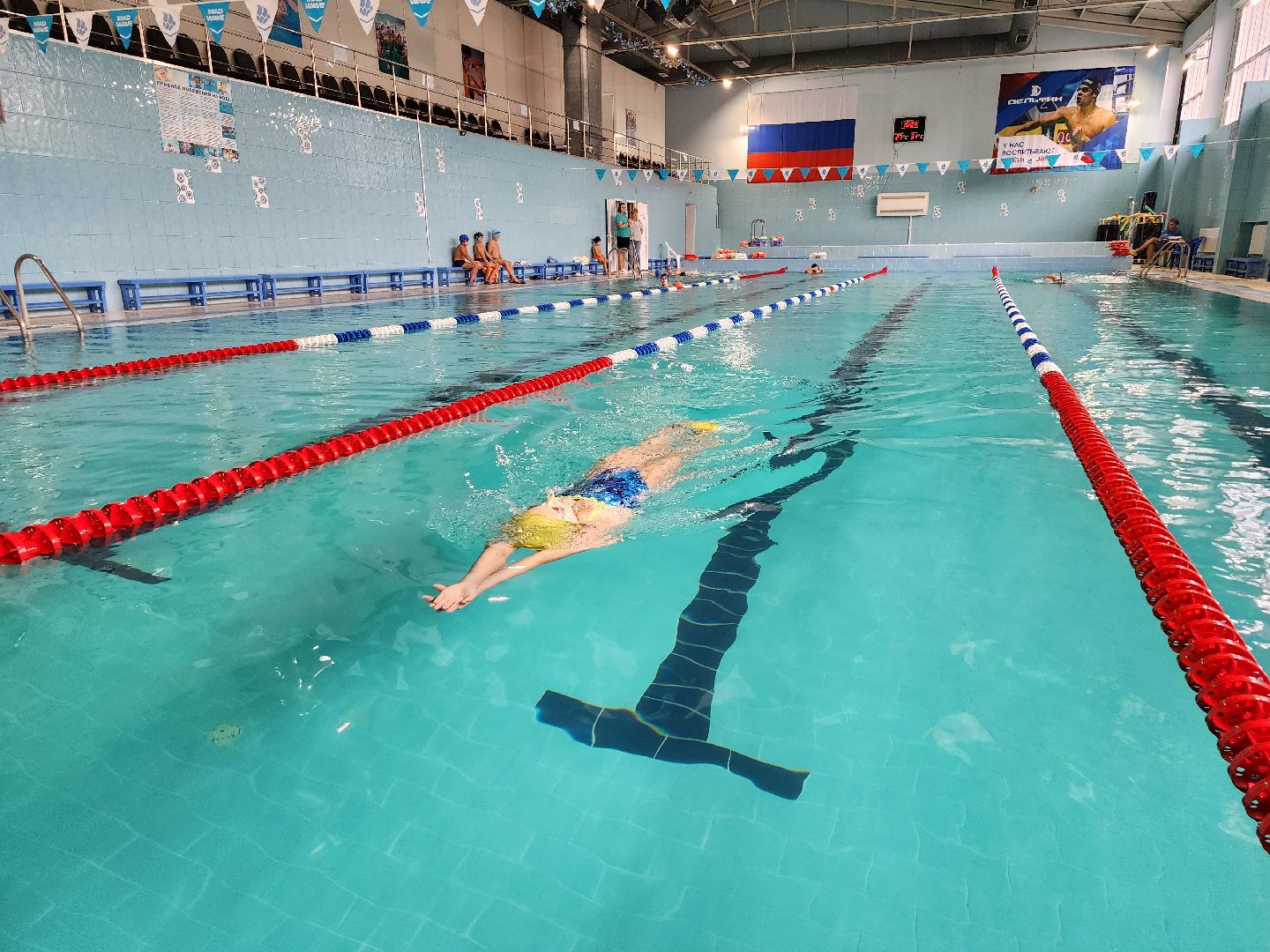 чемпионка из ленинского округа, пловчиха виктория таранникова, оздоровительный центр дельфин развилка, спартакиада учащихся россии, плавание спартакиада пенза, 4 медали таранникова,