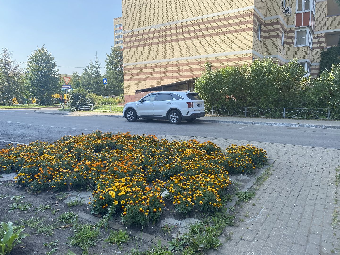 благоустройство территории, мкр Тополек Власиха, мкр школьный власиха, обращения жителей, обход территории власиха,