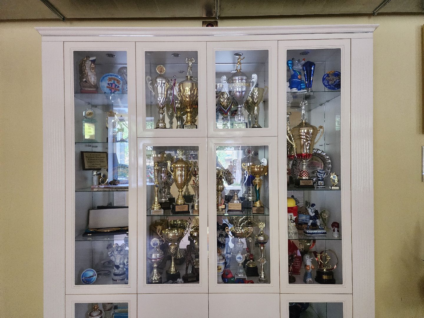 спорт, бокс, ногинск, жители, общество, дети, международный турнир, школа бокса,