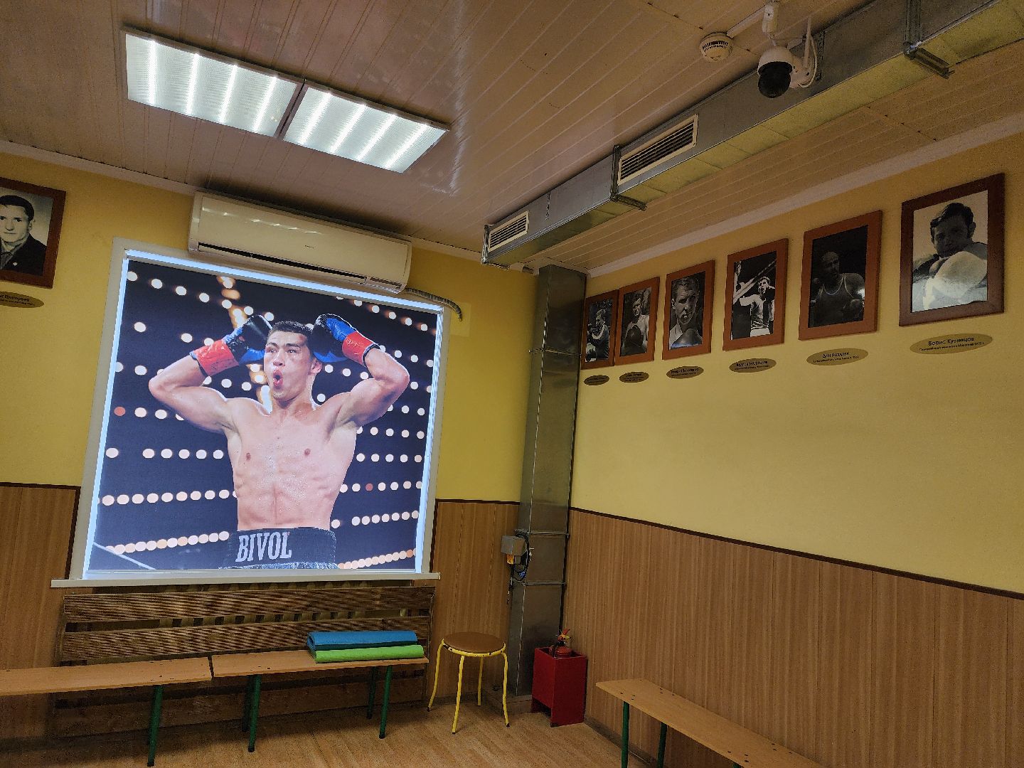 спорт, бокс, ногинск, жители, общество, дети, международный турнир, школа бокса,