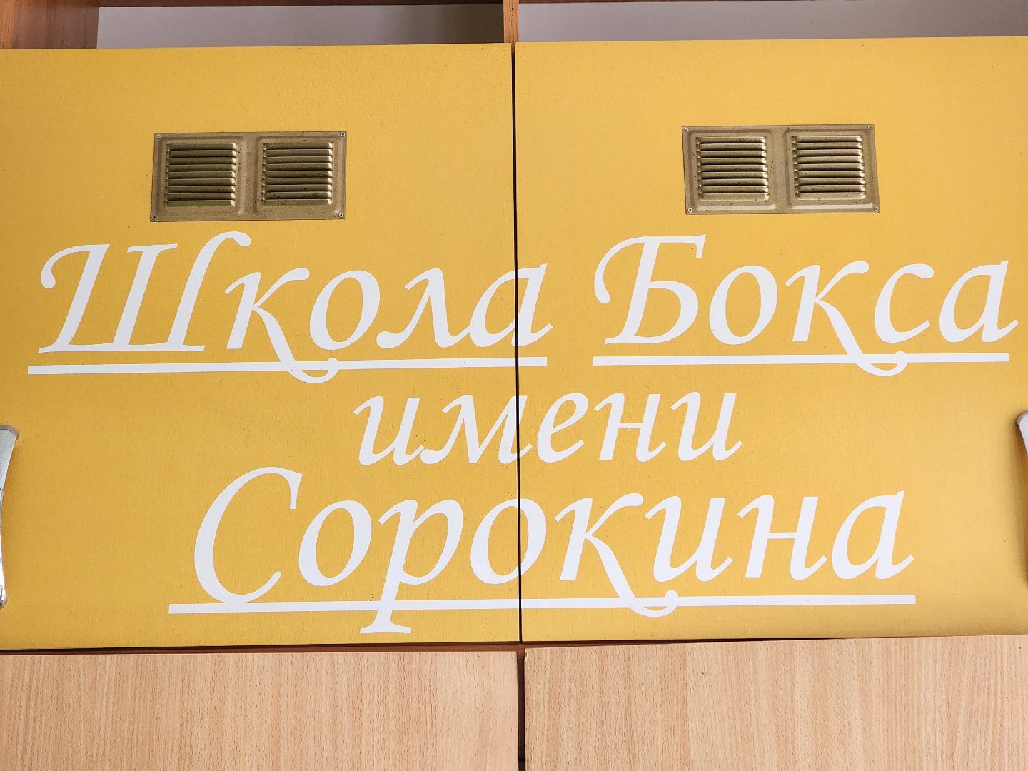 спорт, бокс, ногинск, жители, общество, дети, международный турнир, школа бокса,