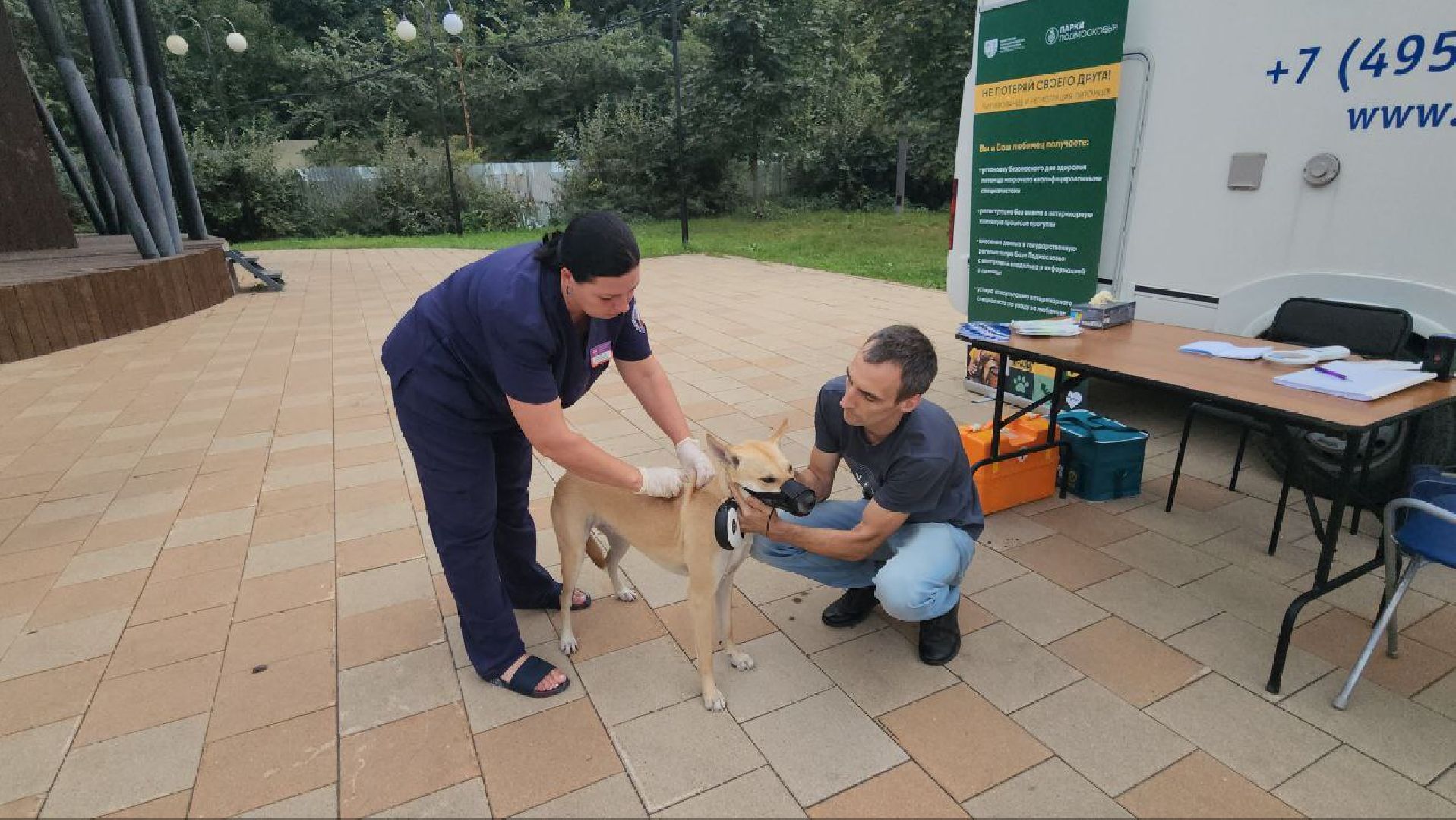 люберцы, Люберецкая Станция по борьбе с болезнями животных, регистрация животных, чипирование домашних животных,