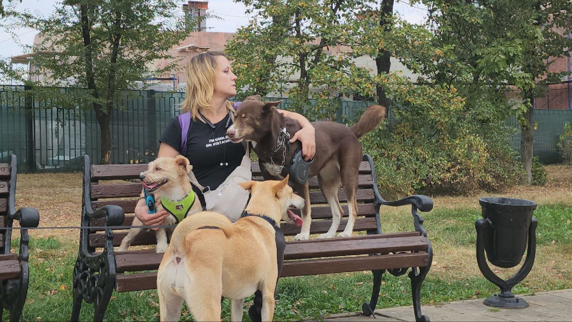 люберцы, Люберецкая Станция по борьбе с болезнями животных, регистрация животных, чипирование домашних животных,