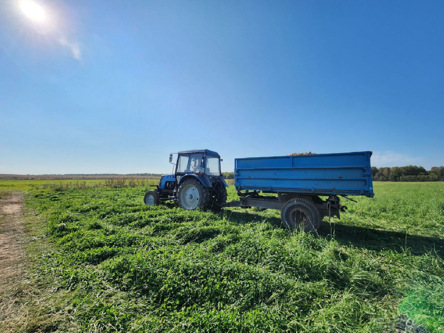 можайск, можайский городской округ, подмосковье, сельское хозяйство, крестьянско-фермерские хозяйства, Агропредприятия, сбор урожая, картофель, морковь, полевые работы, уборочная кампания,