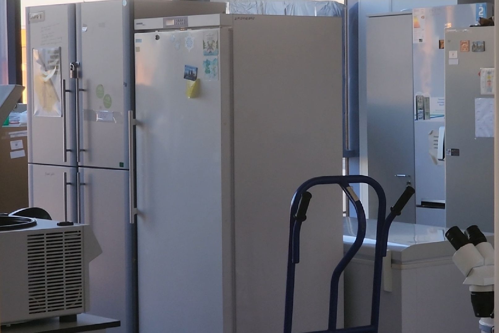 долгопрудный, мфти, стартапы в медицине, системная биология,магистратура,