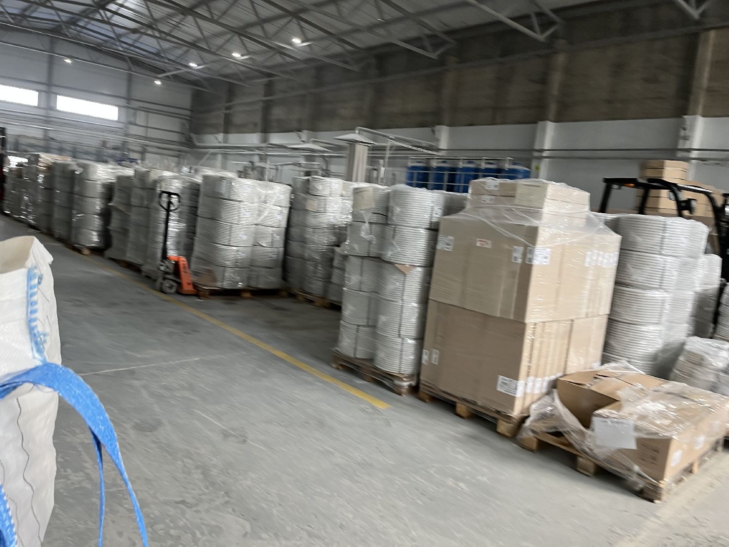 Шаховская, профессионалитет, практика, студенты