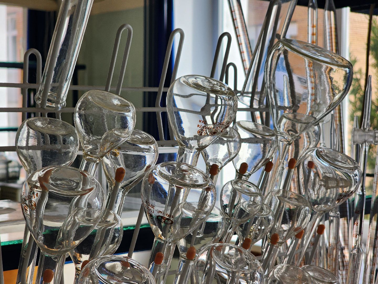 Дубна, университет дубна, Именная премия Подмосковье, Образование,