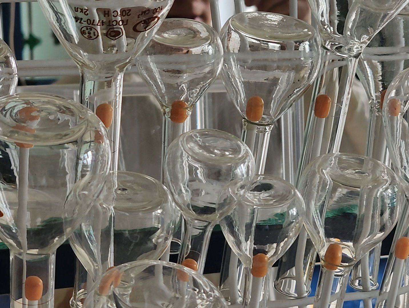 Дубна, университет дубна, Именная премия Подмосковье, Образование,