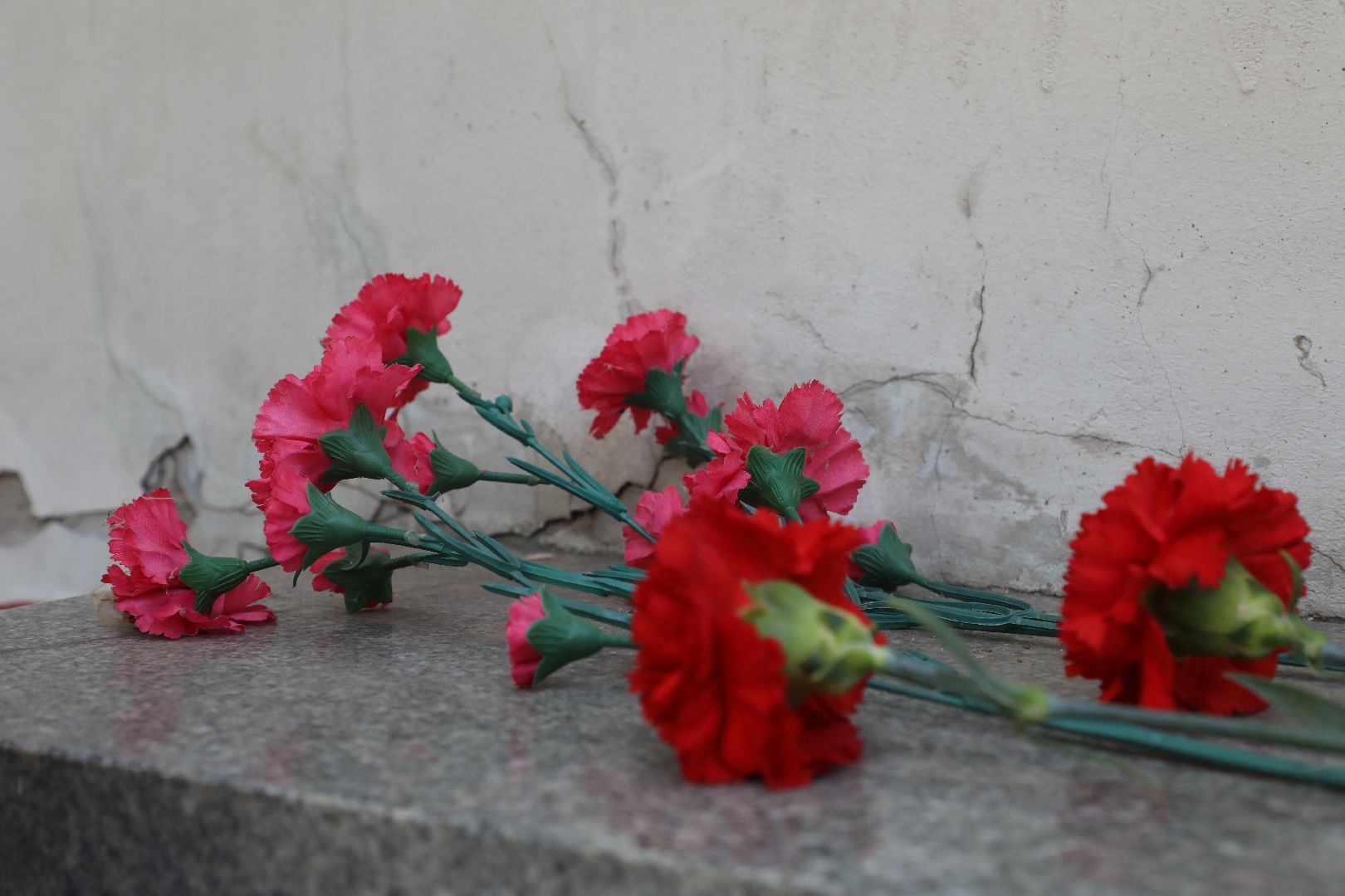 лыткарино, 7 гимназия лыткарино, хранители истории, мемориальные таблички,