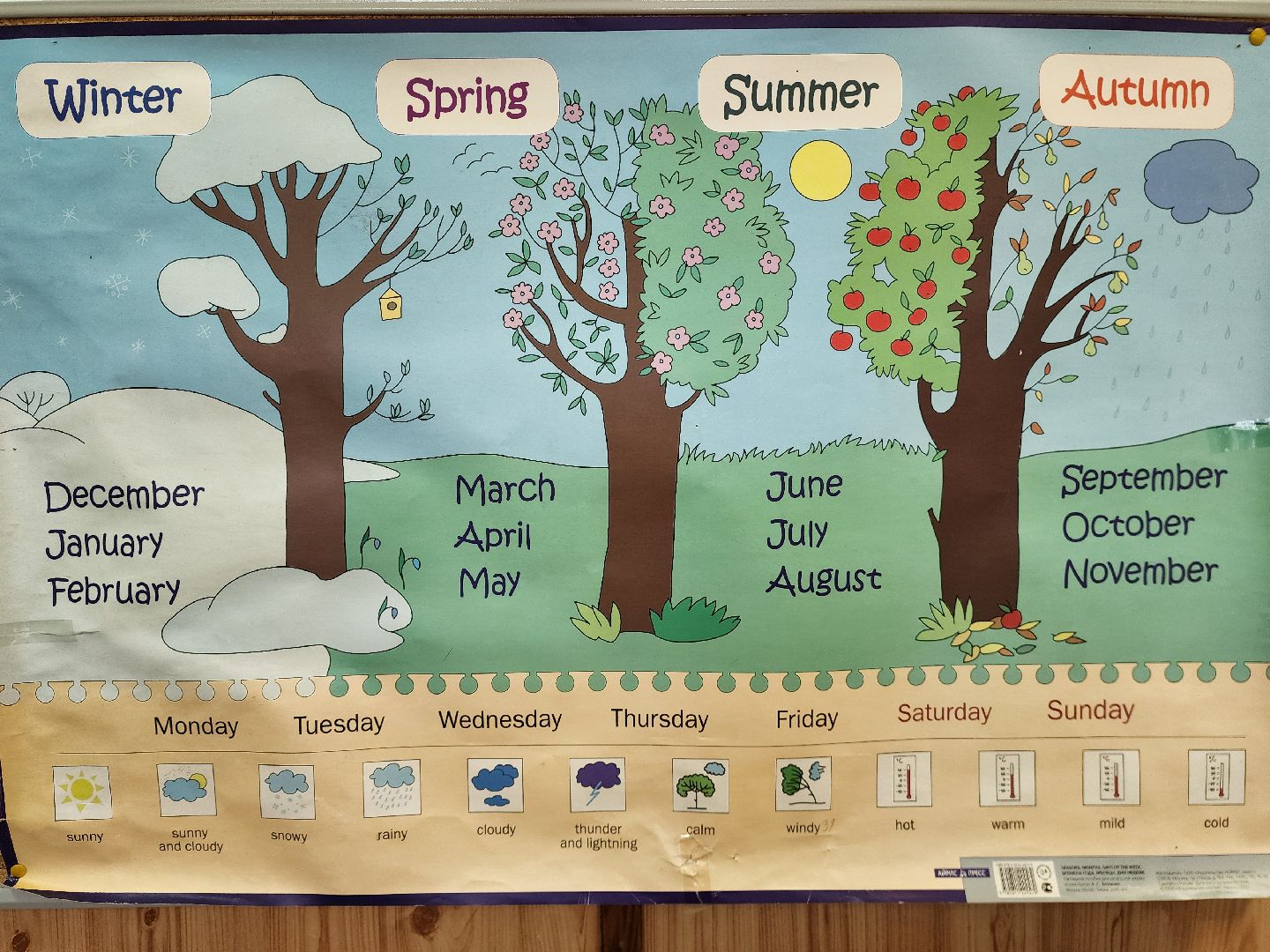 Михаил Мартыненко, шатура, образование, образование в подмосковье, молодой учитель, новый специалист,