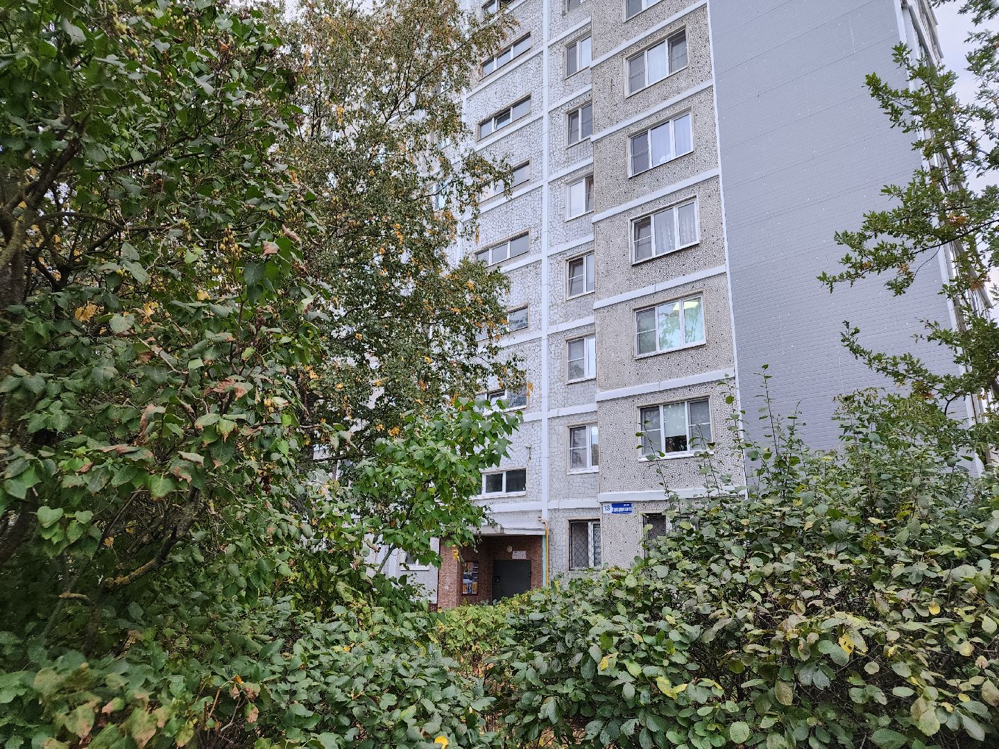 выездная администрация, орехово зуево,