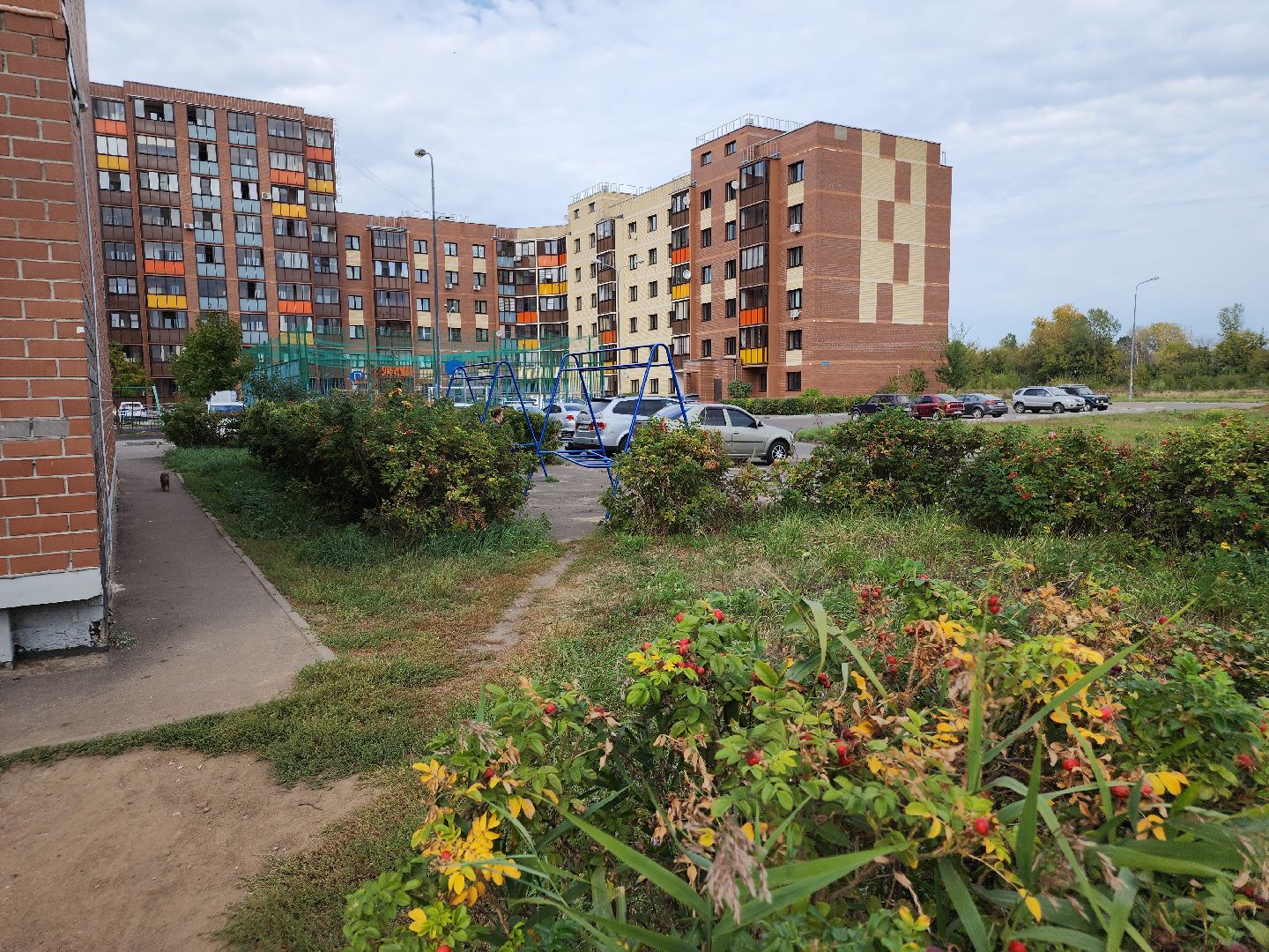 выездная администрация, орехово зуево,