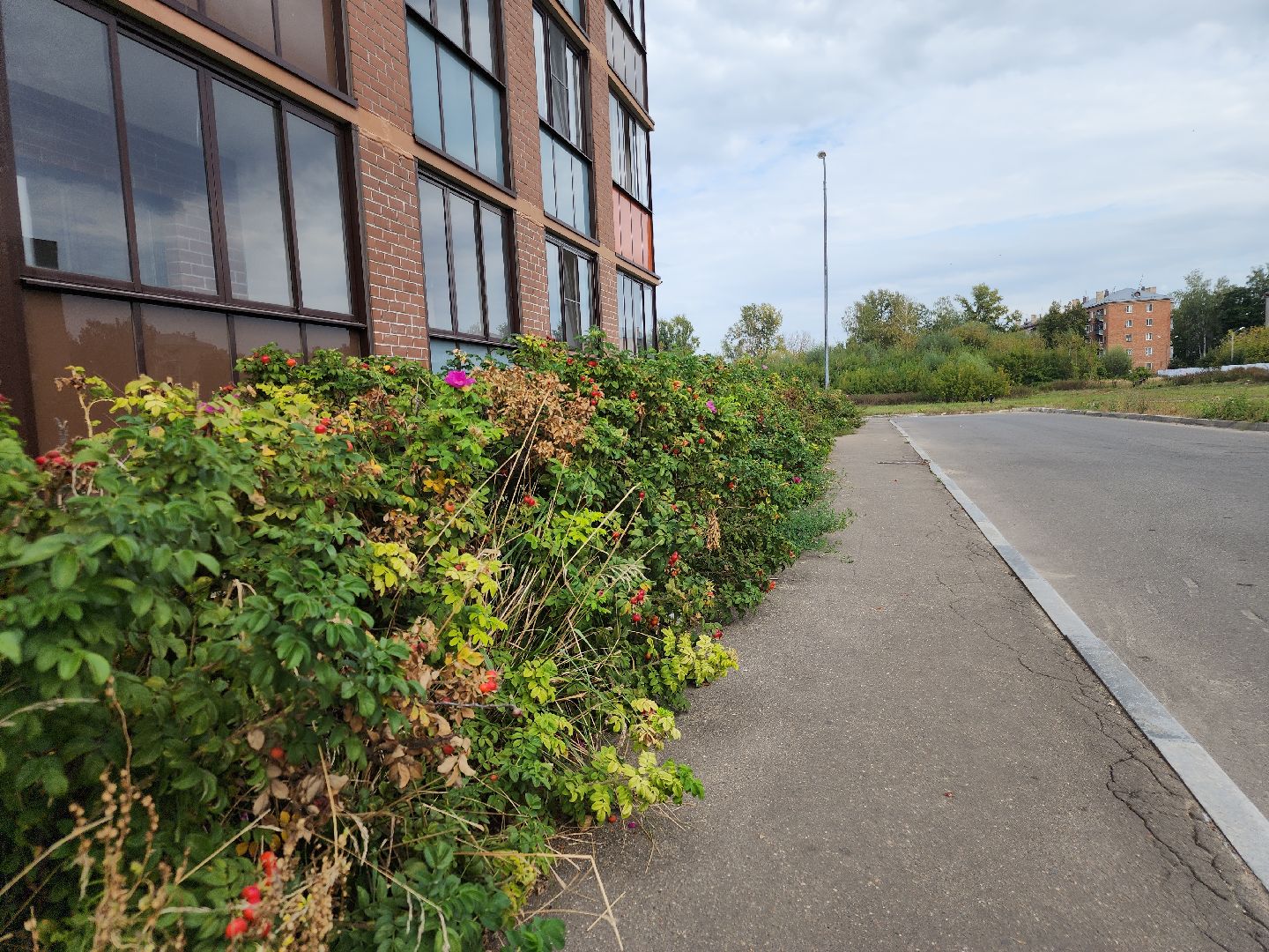 выездная администрация, орехово зуево,