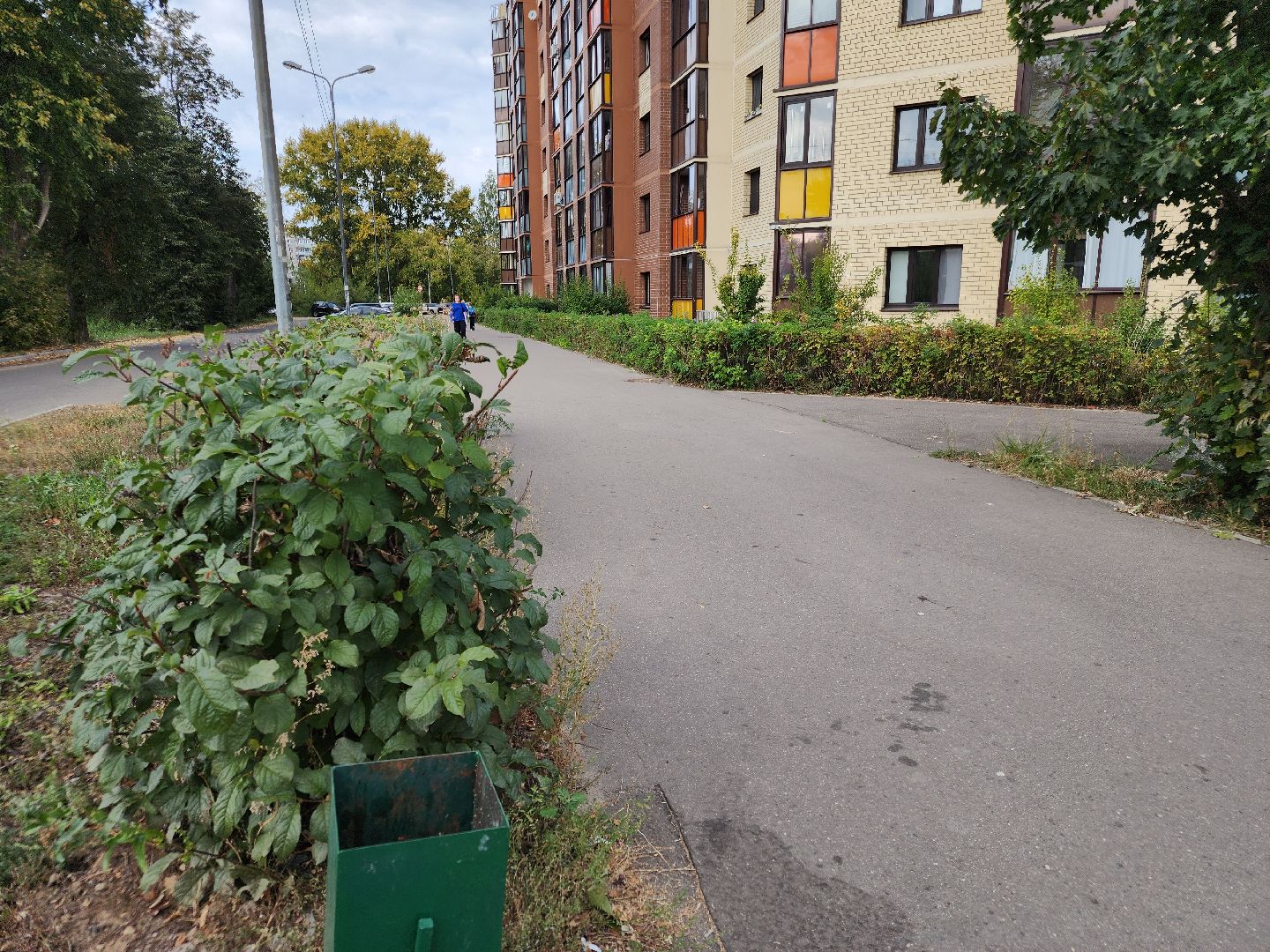 выездная администрация, орехово зуево,