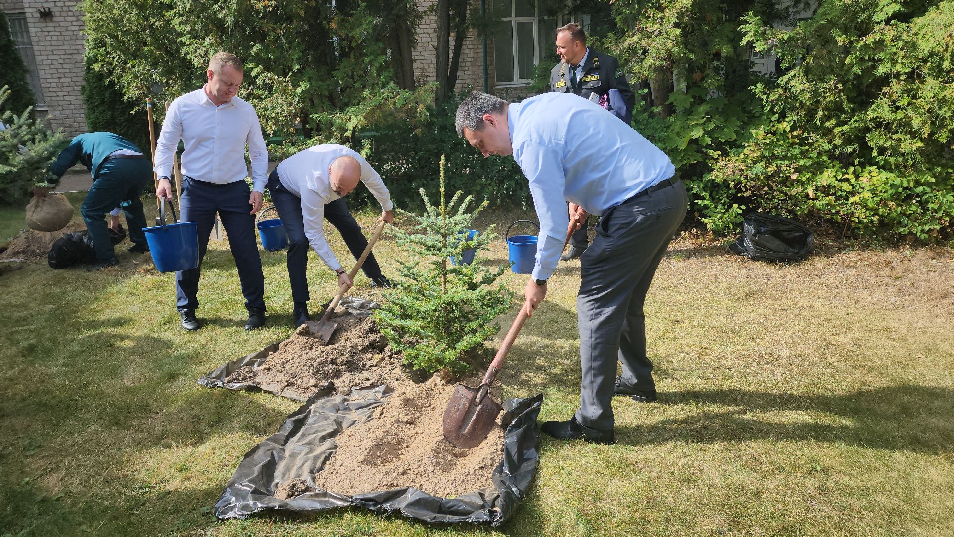 пушкино, лесное хозяйство, институт, юбилейная медаль, леса, беспилотные авиационные системы, лесовосстановление, лесопитомник,