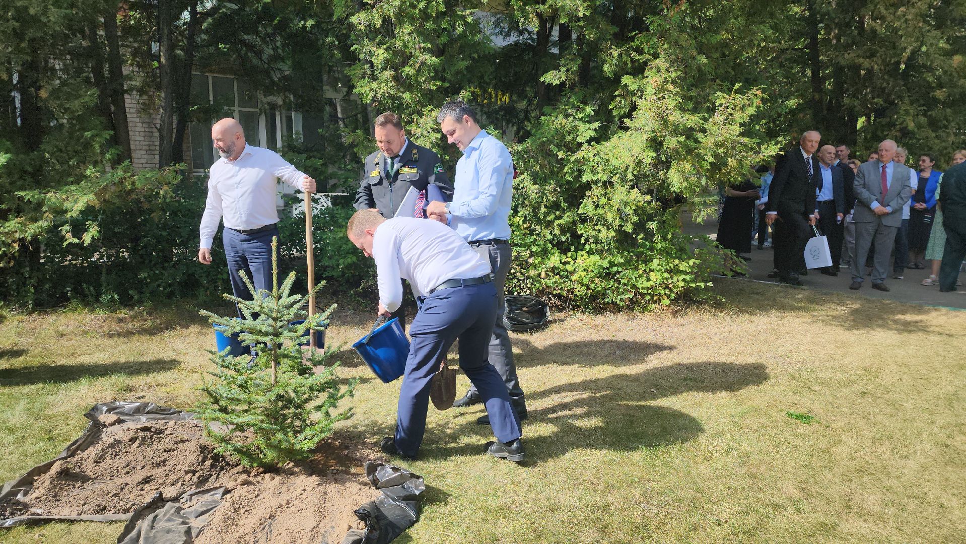 пушкино, лесное хозяйство, институт, юбилейная медаль, леса, беспилотные авиационные системы, лесовосстановление, лесопитомник,