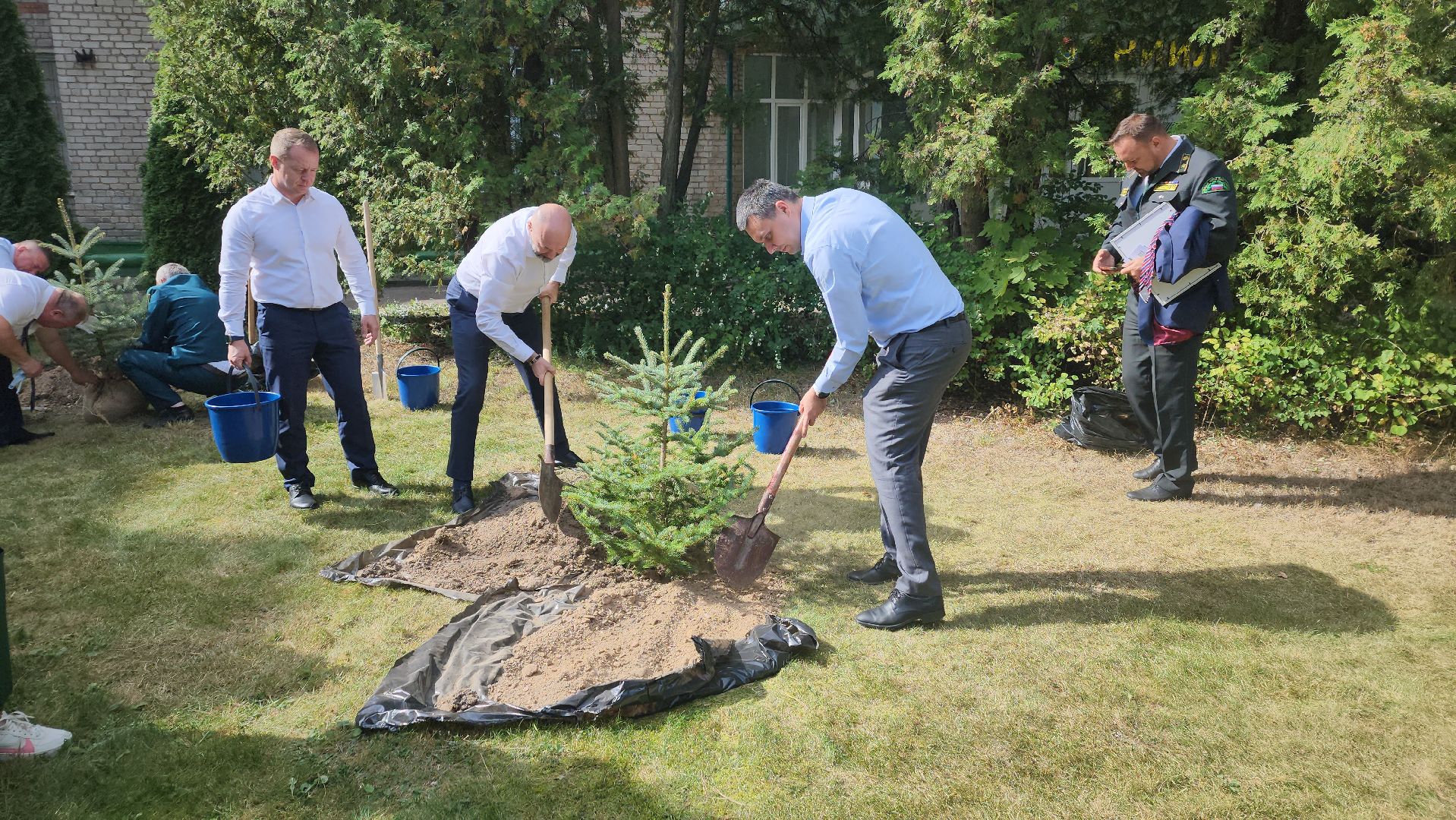 пушкино, лесное хозяйство, институт, юбилейная медаль, леса, беспилотные авиационные системы, лесовосстановление, лесопитомник,