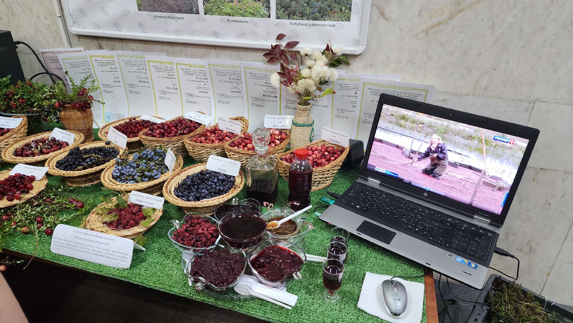 пушкино, лесное хозяйство, институт, юбилейная медаль, леса, беспилотные авиационные системы, лесовосстановление, лесопитомник,