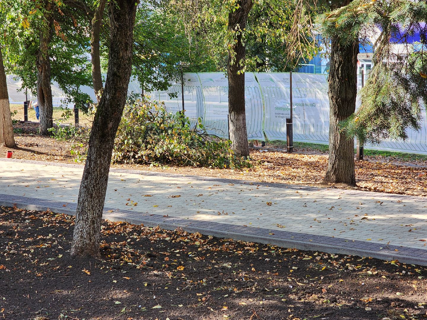 Чехов, бульвар Чехова, сквер Чехова, реконструкция, благоустройство, фонтан, пешеходные дорожки, озеленение, арт объекты, освещение, качели, нацпроект Жилье и городская среда, формирование комфортной городской среды,