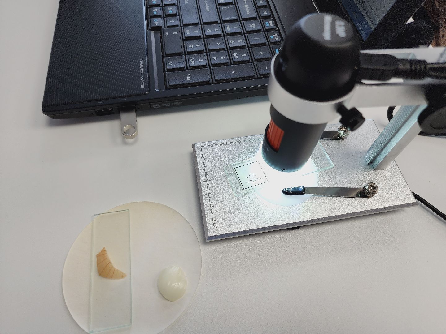 Егорьевск, Подмосковье, Может область, Точка роста, Селиваниха,