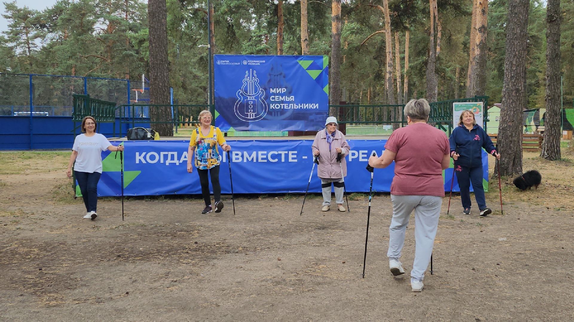 активное долголетие, скандинавская ходьба, губернаторская программа,