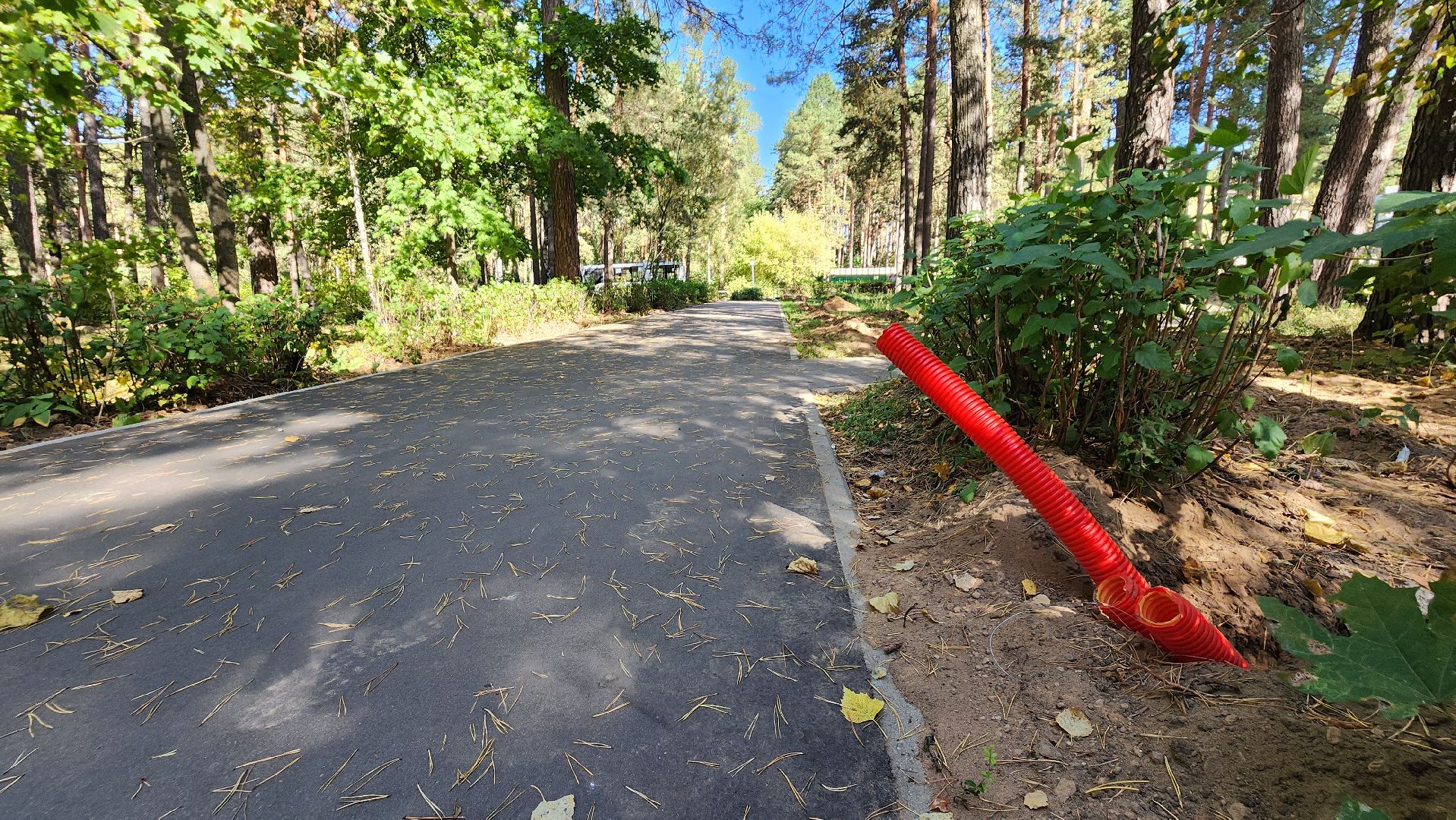 светлый город, освещение, протвино, улица дружбы, опоры освещения,