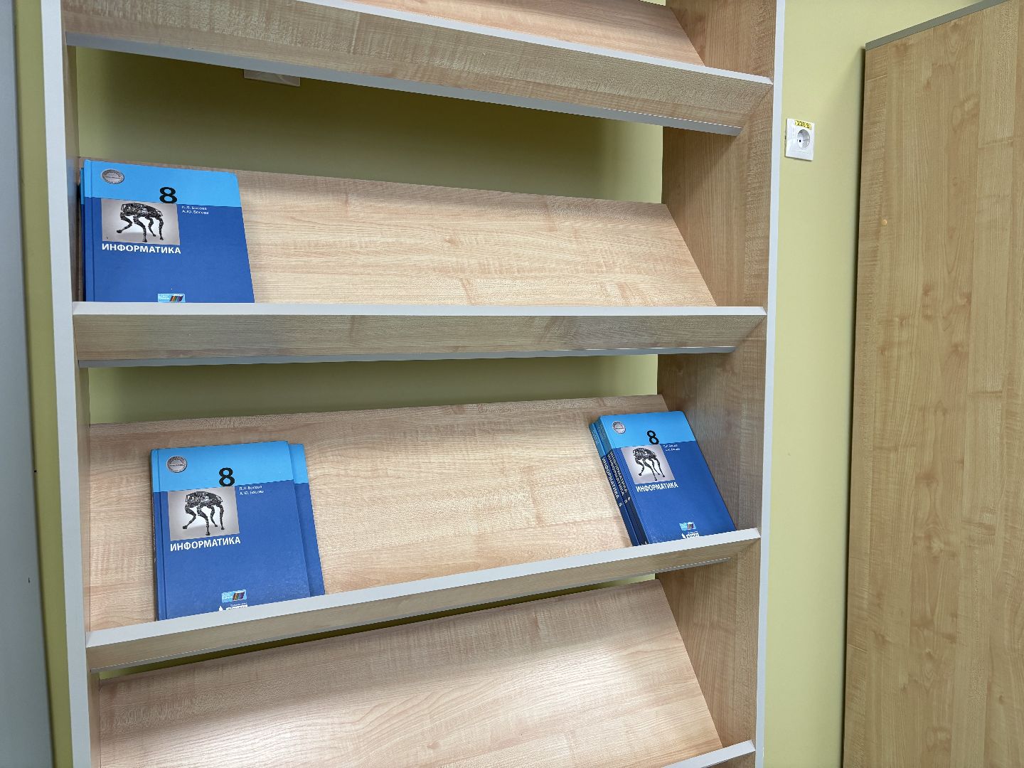 образование, школа 8, кучино, информатика,