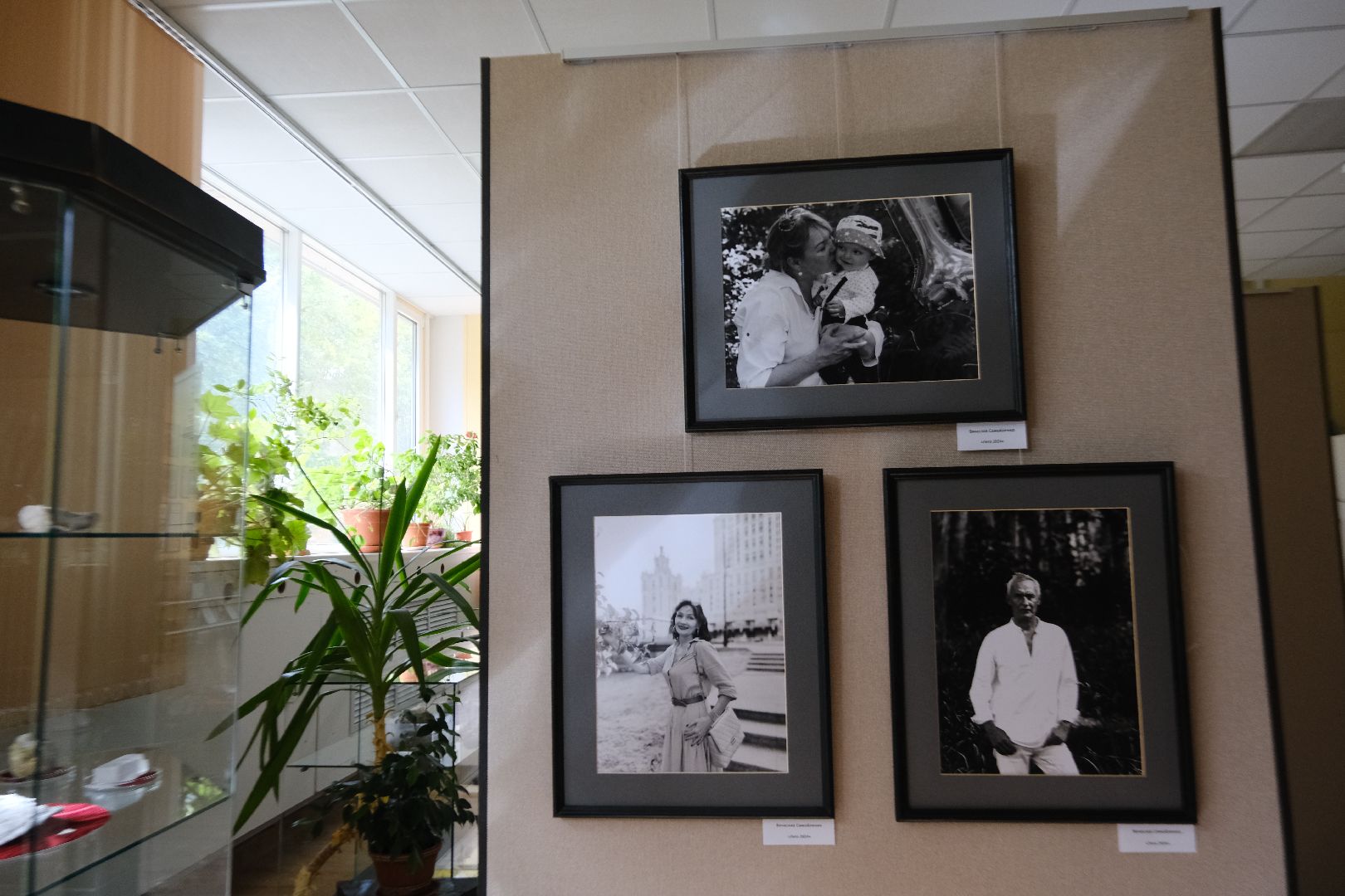 пущино, серпухов, культура,