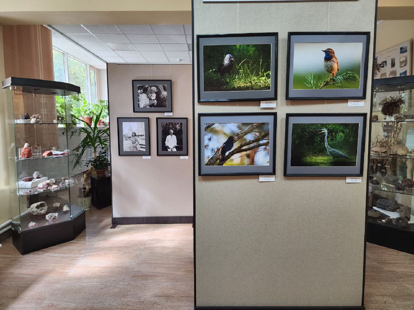 пущино, серпухов, культура,