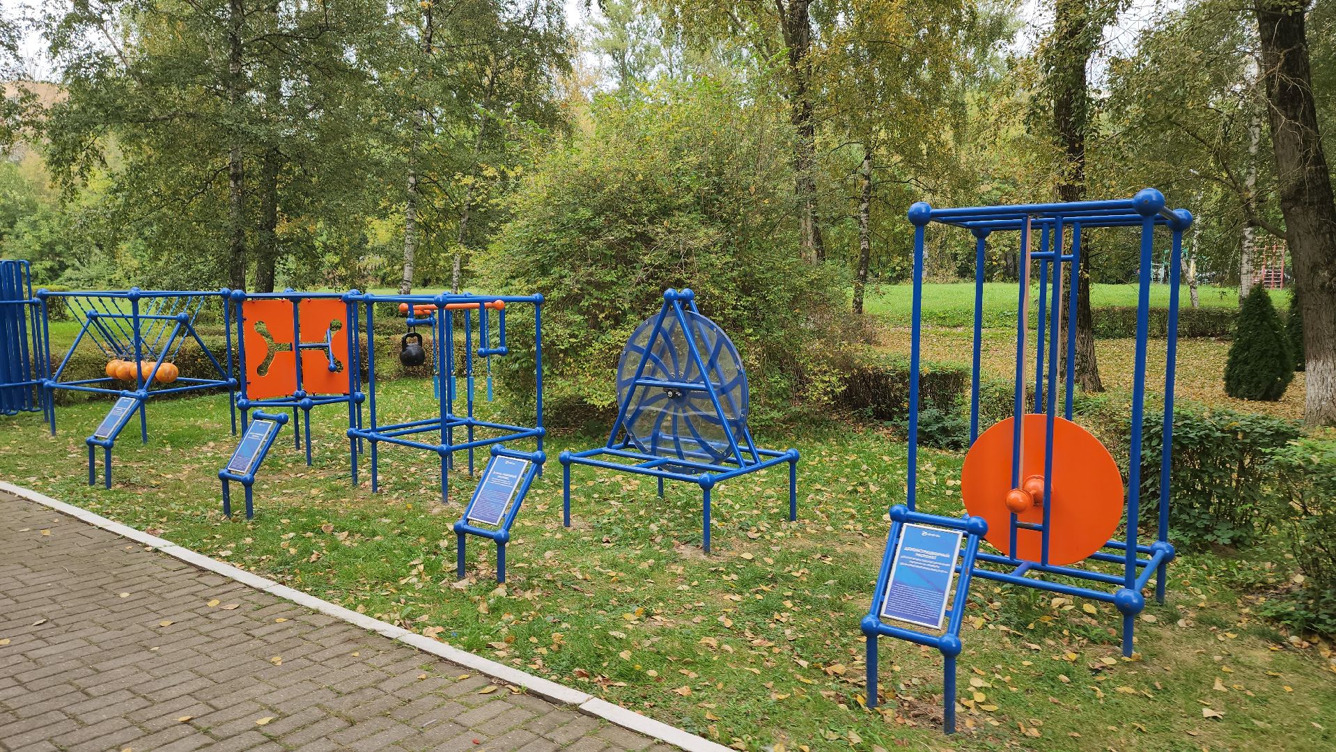 образование, одинцово, десятый лицей, it, инженерия, предпринимательство, медицина,