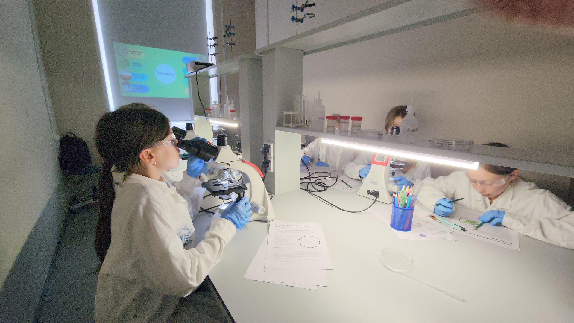 образование, одинцово, десятый лицей, it, инженерия, предпринимательство, медицина,