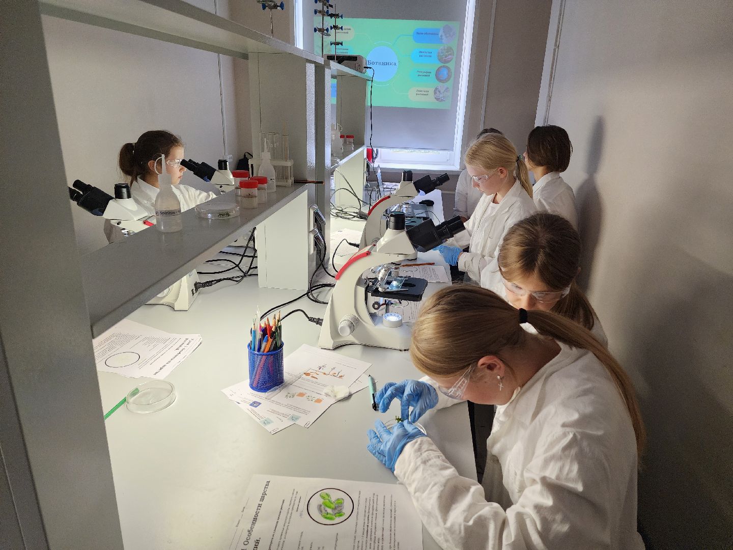 образование, одинцово, десятый лицей, it, инженерия, предпринимательство, медицина,