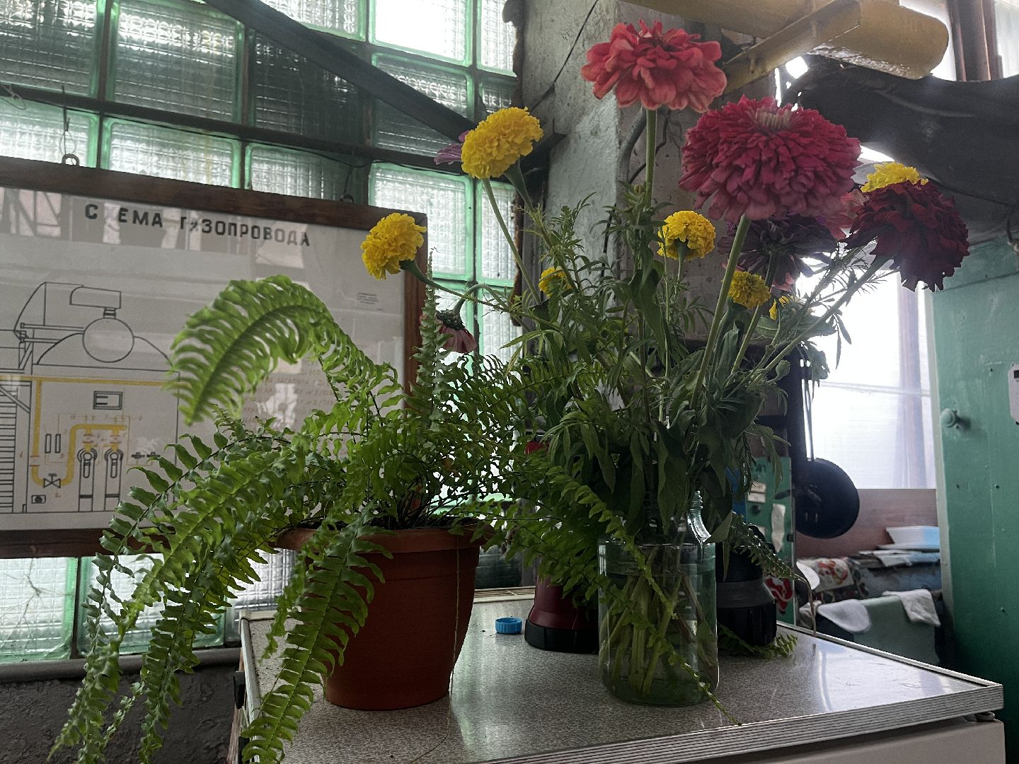 волоколамск,