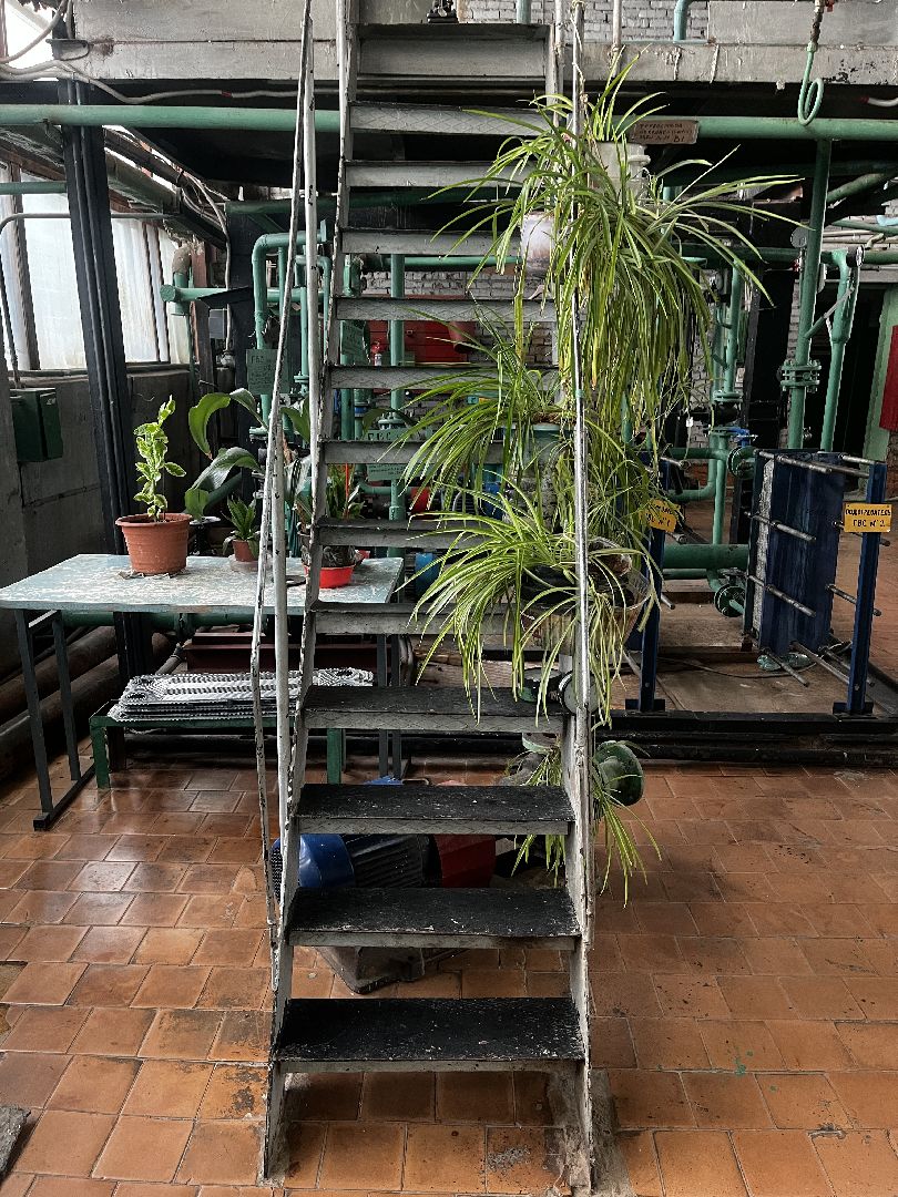 волоколамск,