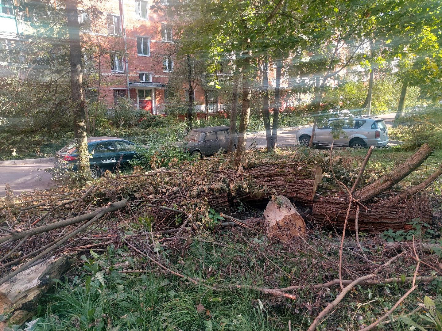 Администрация, выездная администрация, содержание дворовых территорий,