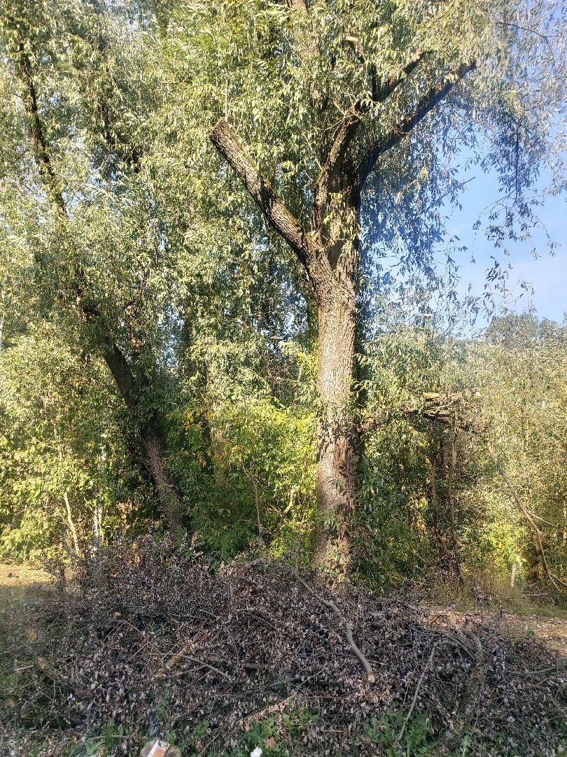 Администрация, выездная администрация, содержание дворовых территорий,