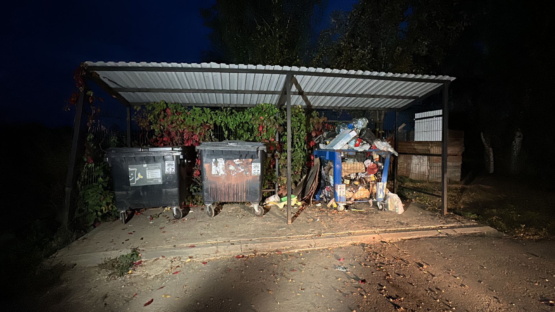 Клин, общество, ЖКХ, контейнерная площадка, контейнер для мусора, люди, выездная администрация,