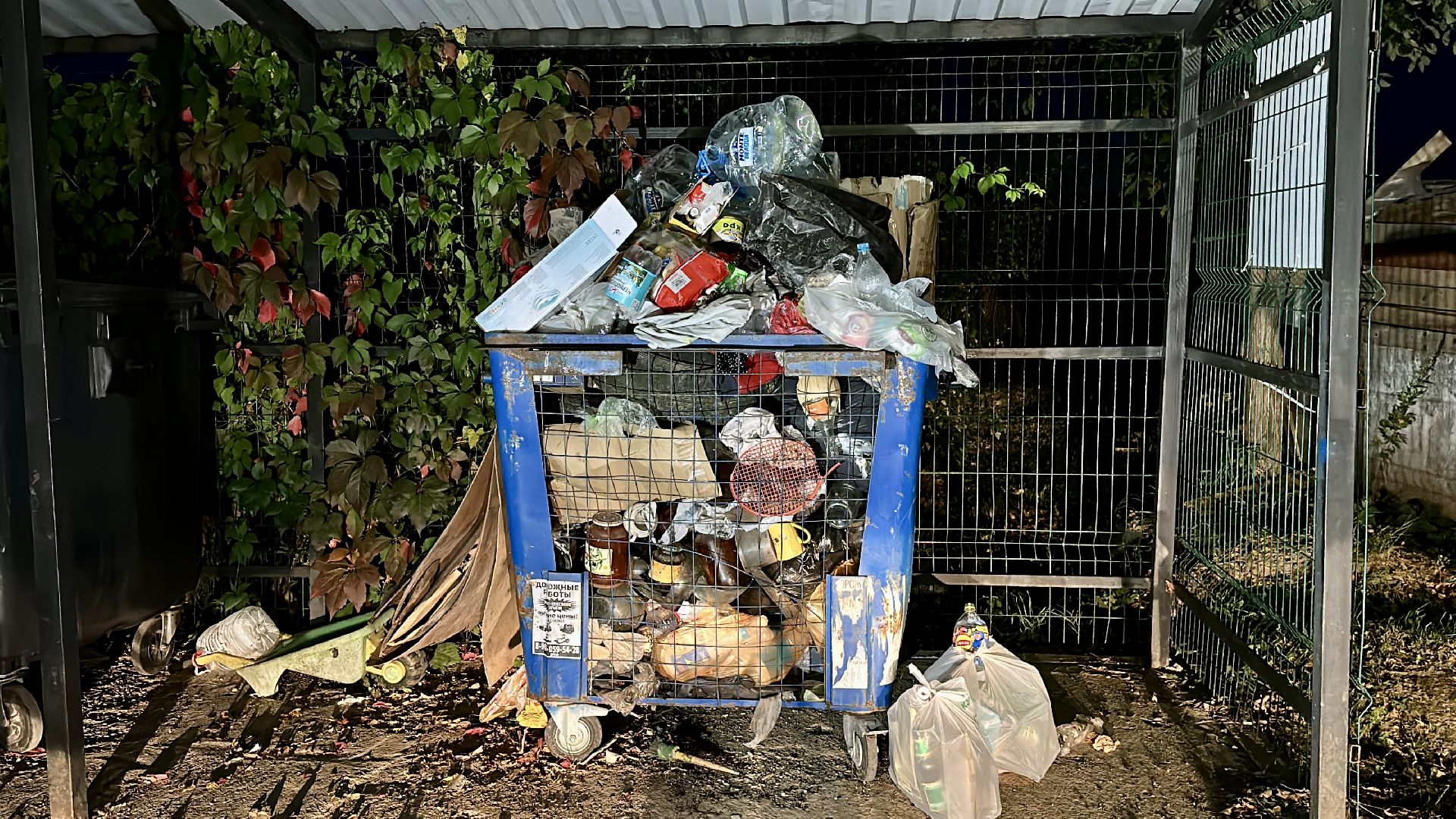 Клин, общество, ЖКХ, контейнерная площадка, контейнер для мусора, люди, выездная администрация,