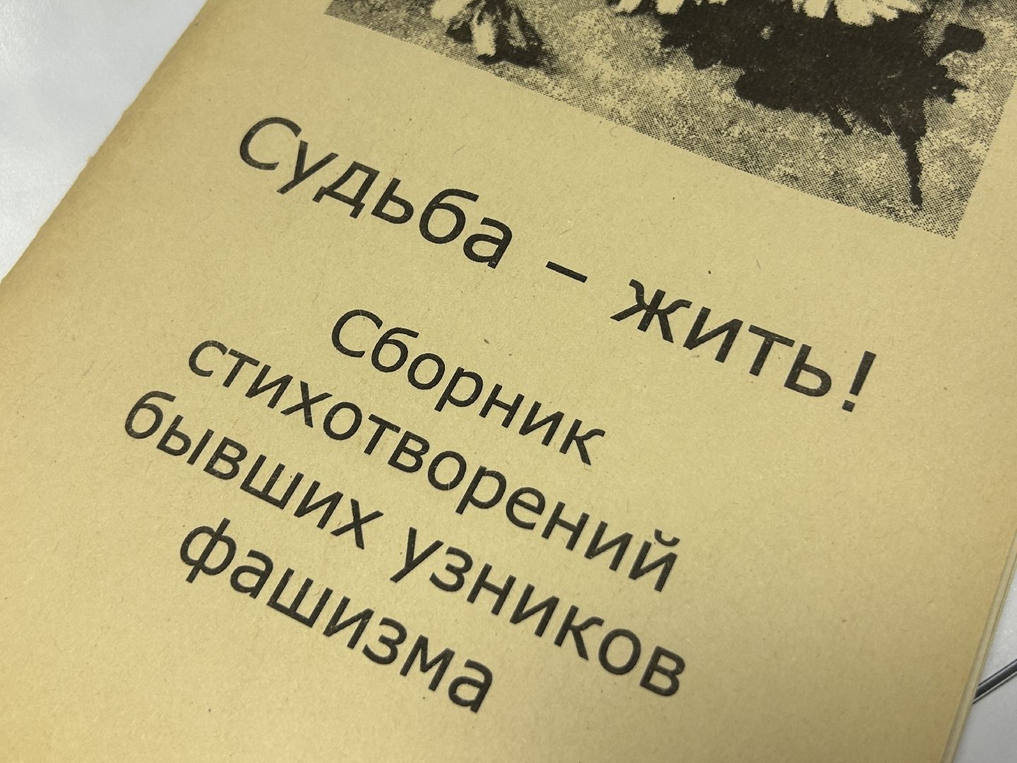 история, Фрязино, концлагерь, узники, глава