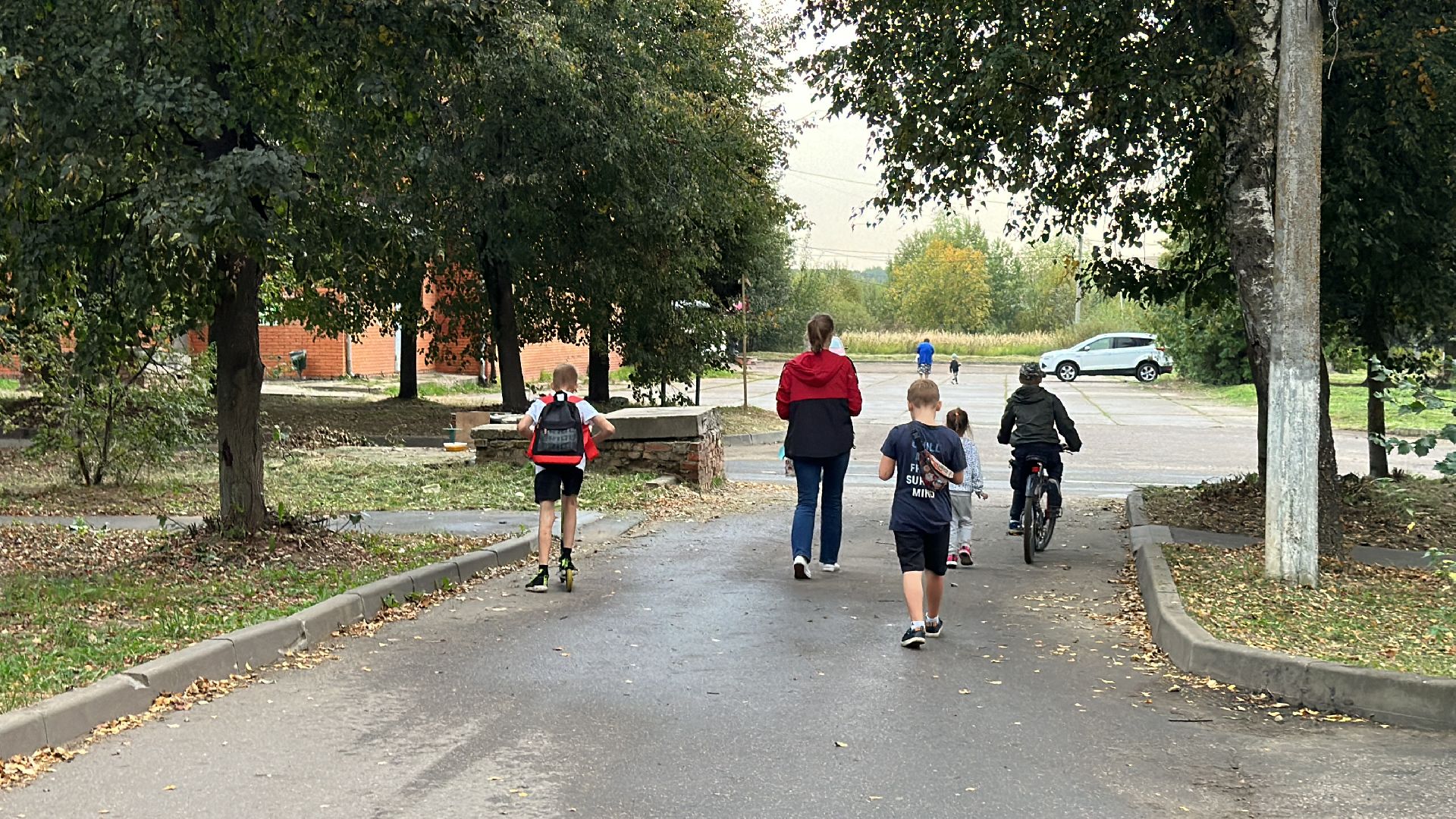Клин, общество, люди, опиловка деревьев, выездная администрация,