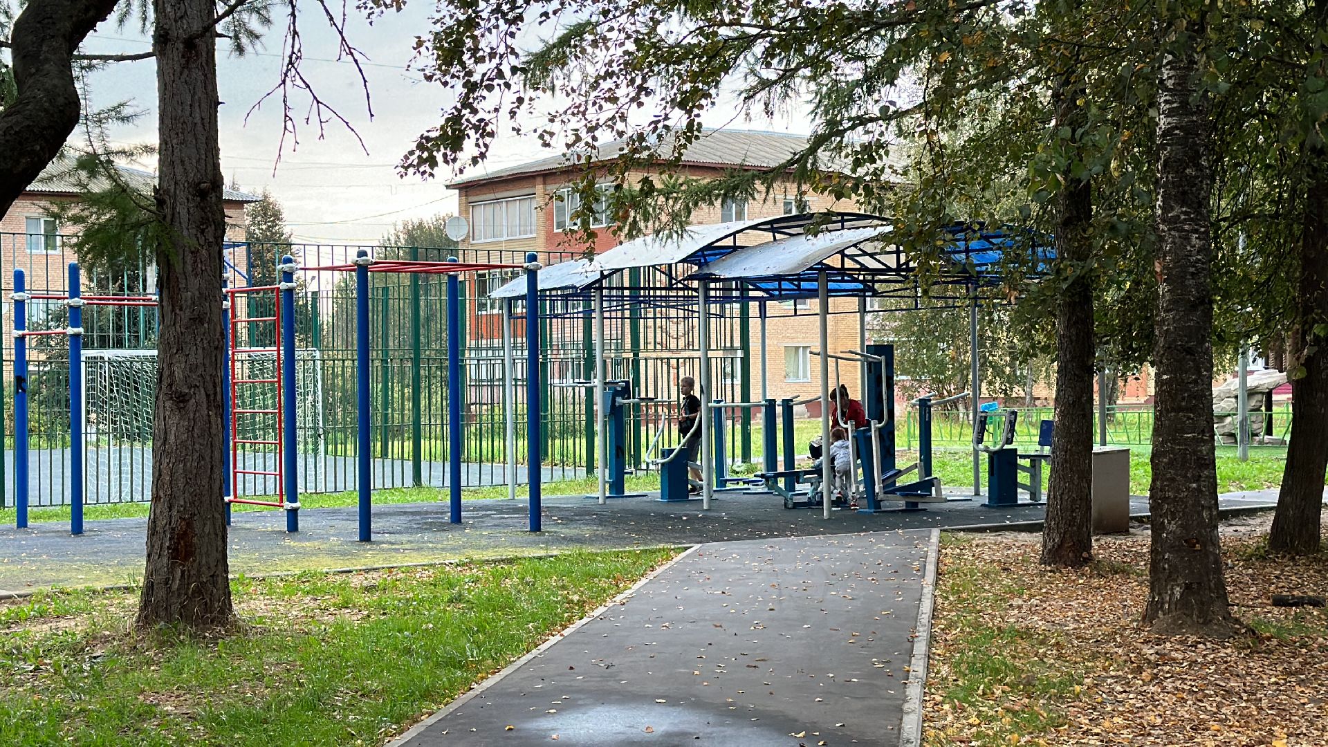 Клин, общество, люди, опиловка деревьев, выездная администрация,