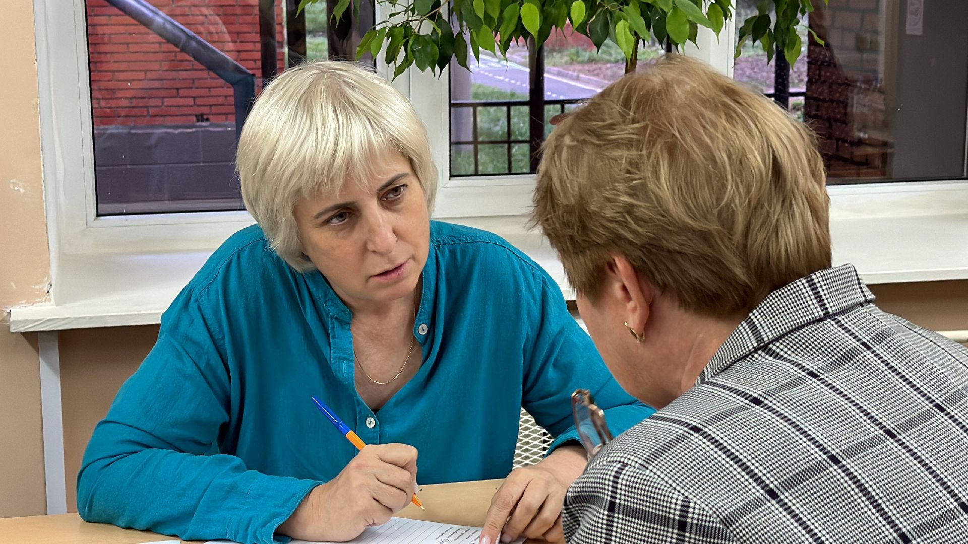 Клин, общество, люди, опиловка деревьев, выездная администрация,