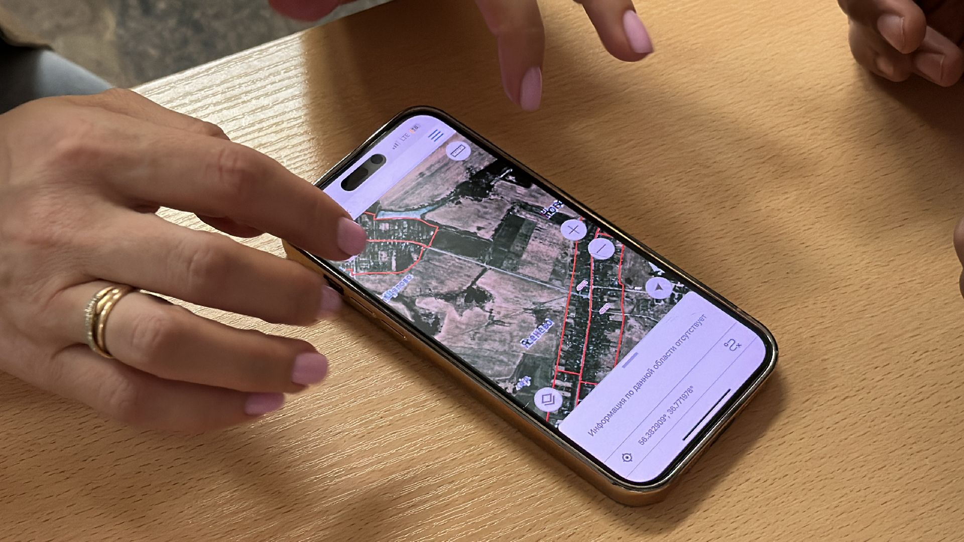 Клин, общество, люди, опиловка деревьев, выездная администрация,